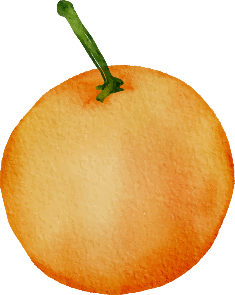 Orange in Water Color for Decorative Element
