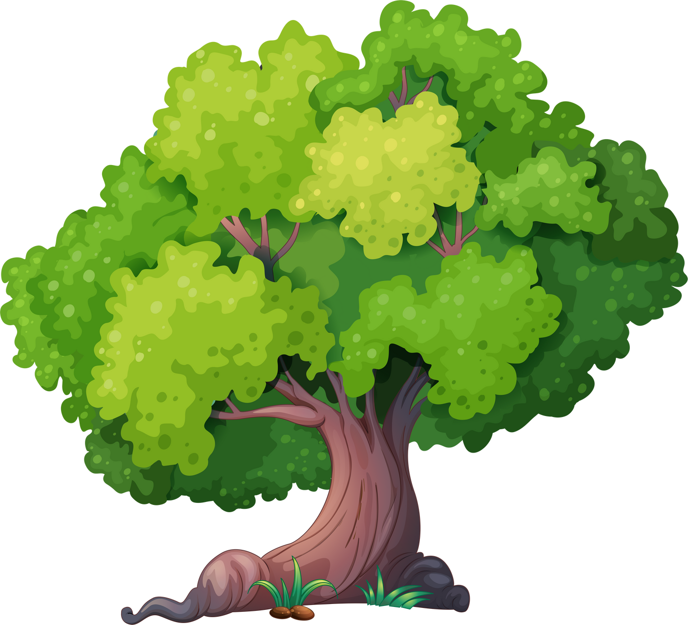Green Tree Illustration