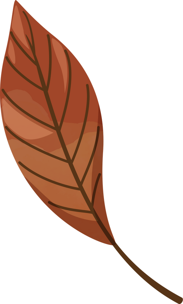 Autumn Leaf for Thanksgiving Decorative Element