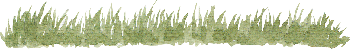 Grass Watercolor Illustration